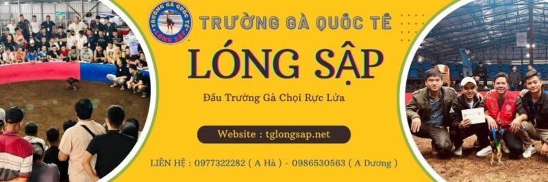 đá gà c1 trường gà lóng sập