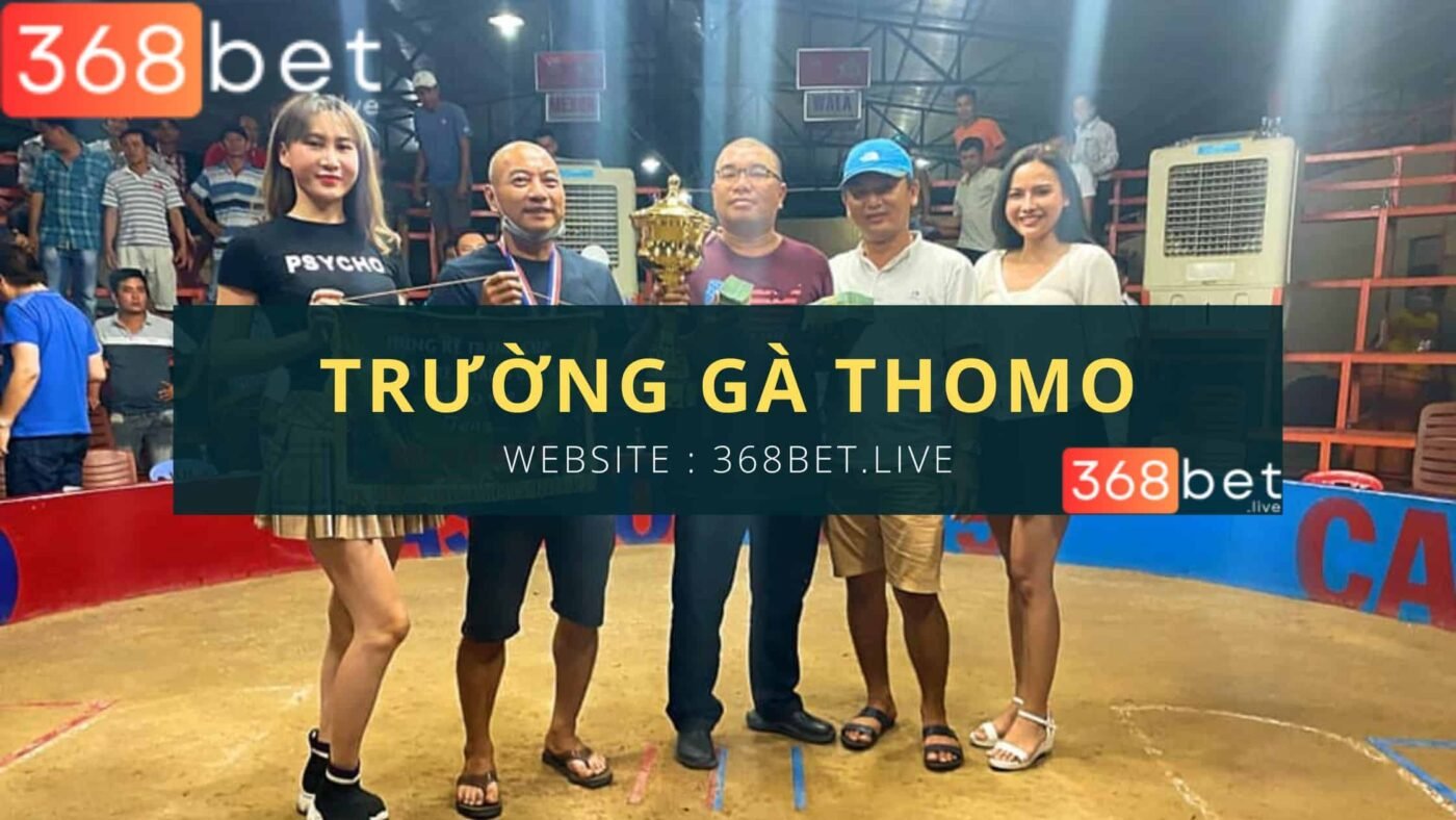 Đá Gà C1 Thomo GÀ CHỌI C1 Thomo TRỰC TIẾP