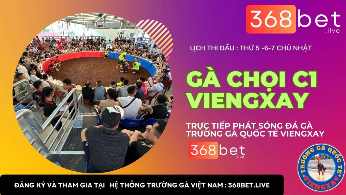 Đá Gà C1 Vieng Xay GÀ CHỌI C1 Vieng Xay TRỰC TIẾP