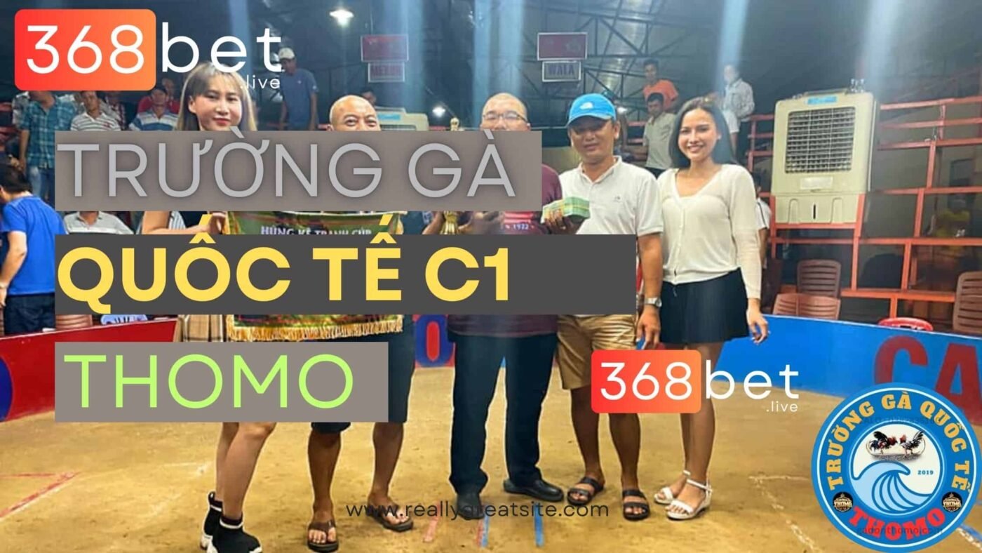 trường gà quốc tế thomo