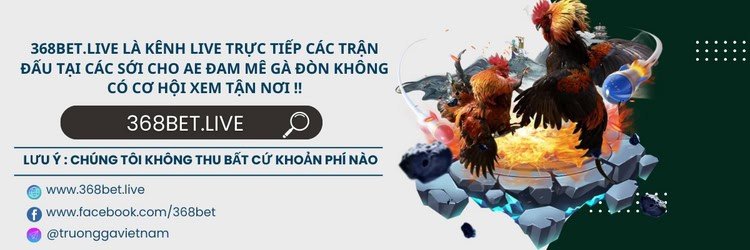 Trực tiếp Gà chọi C1 Đá Gà C1 hôm nay