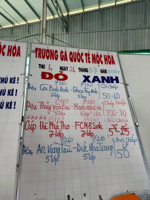 đá gà mộc hóa