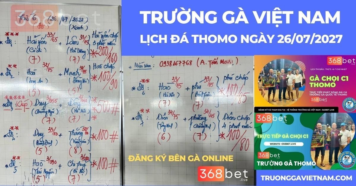 trường gà thomo trực tiếp hôm nay