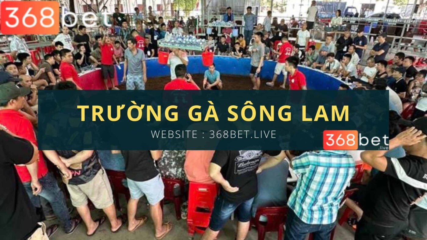 trận đá gà c1 đông người