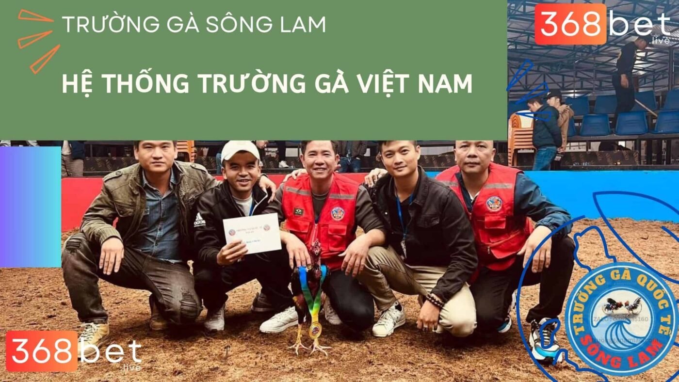 gà chọi c1 sông lam trực tiếp hôm nay