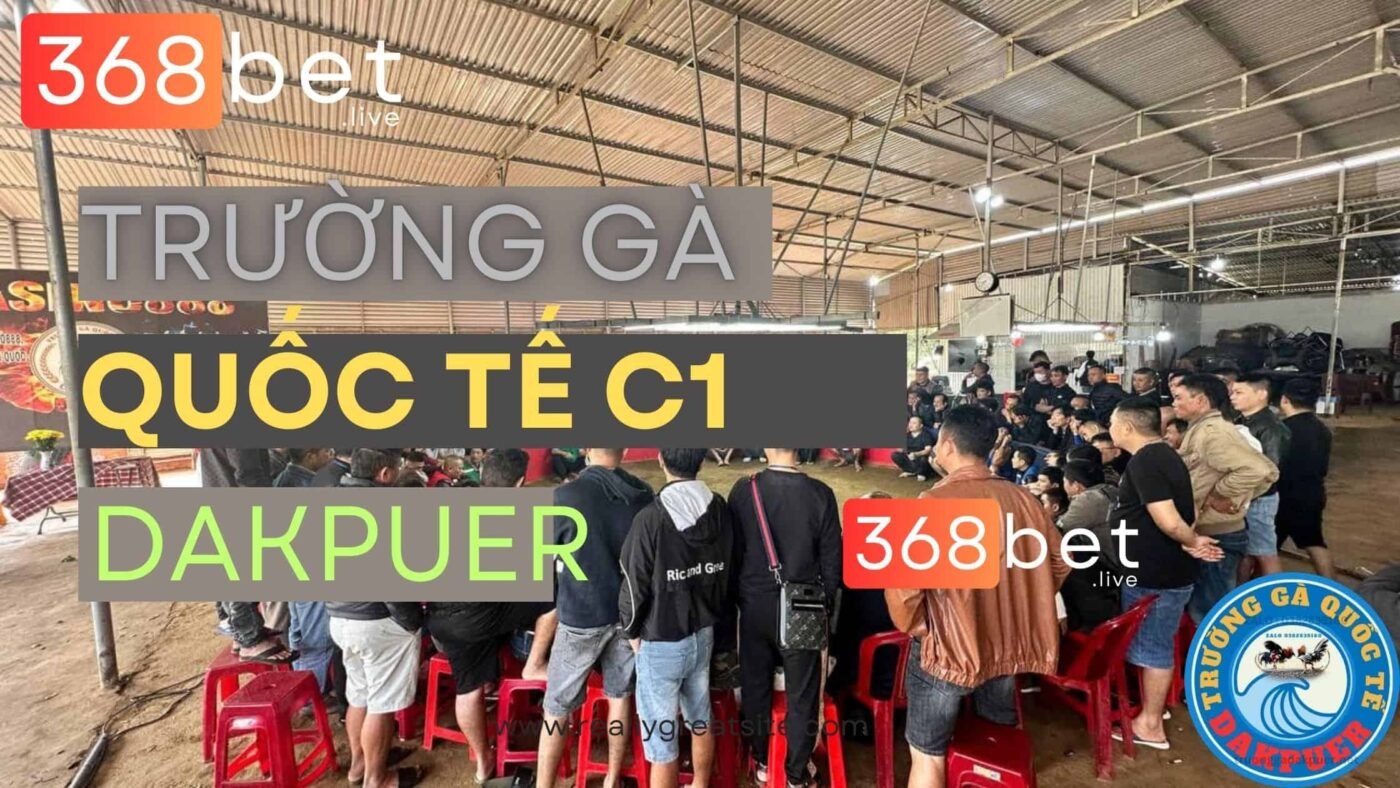 trường gà Dakpuer 888 đã trở thành điểm đến lý tưởng cho những người đam mê đá gà